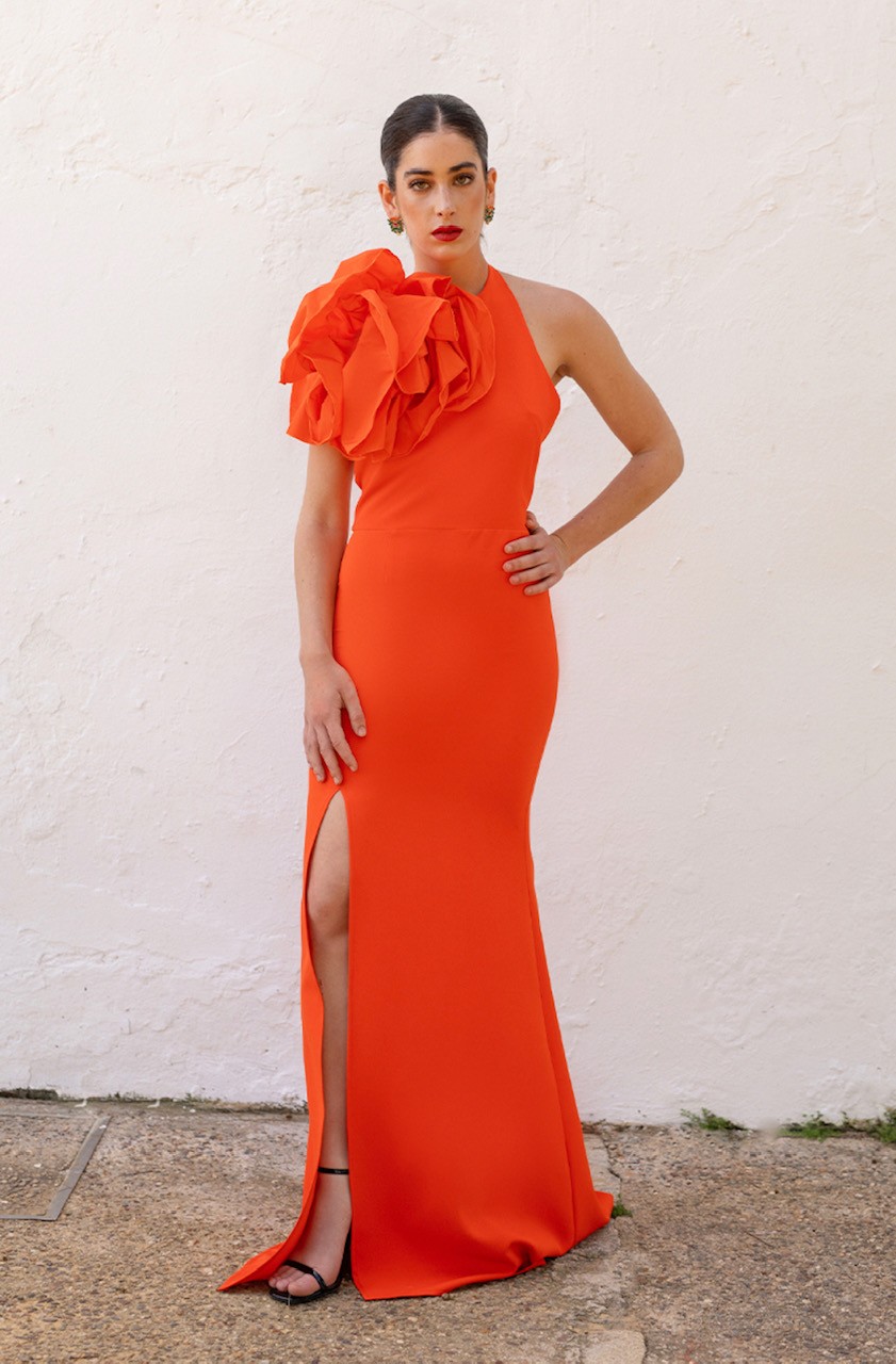 Vestido Dama